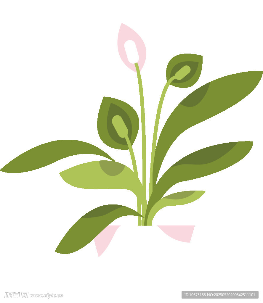 粉色花苞绿植插画