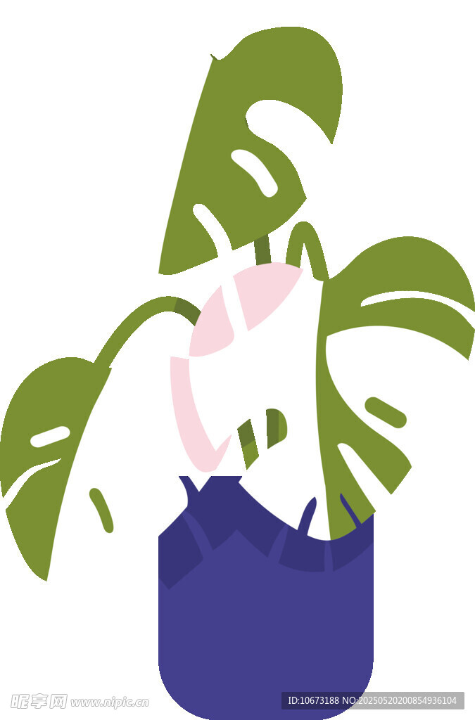 盆栽植物插画