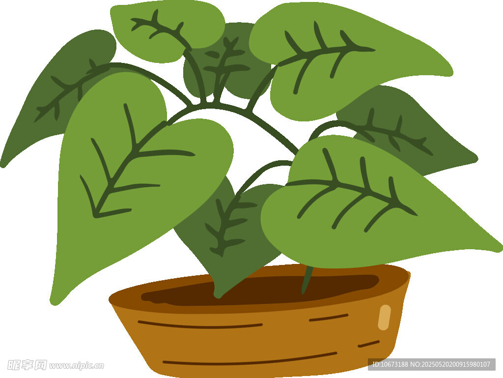 盆栽绿植插画