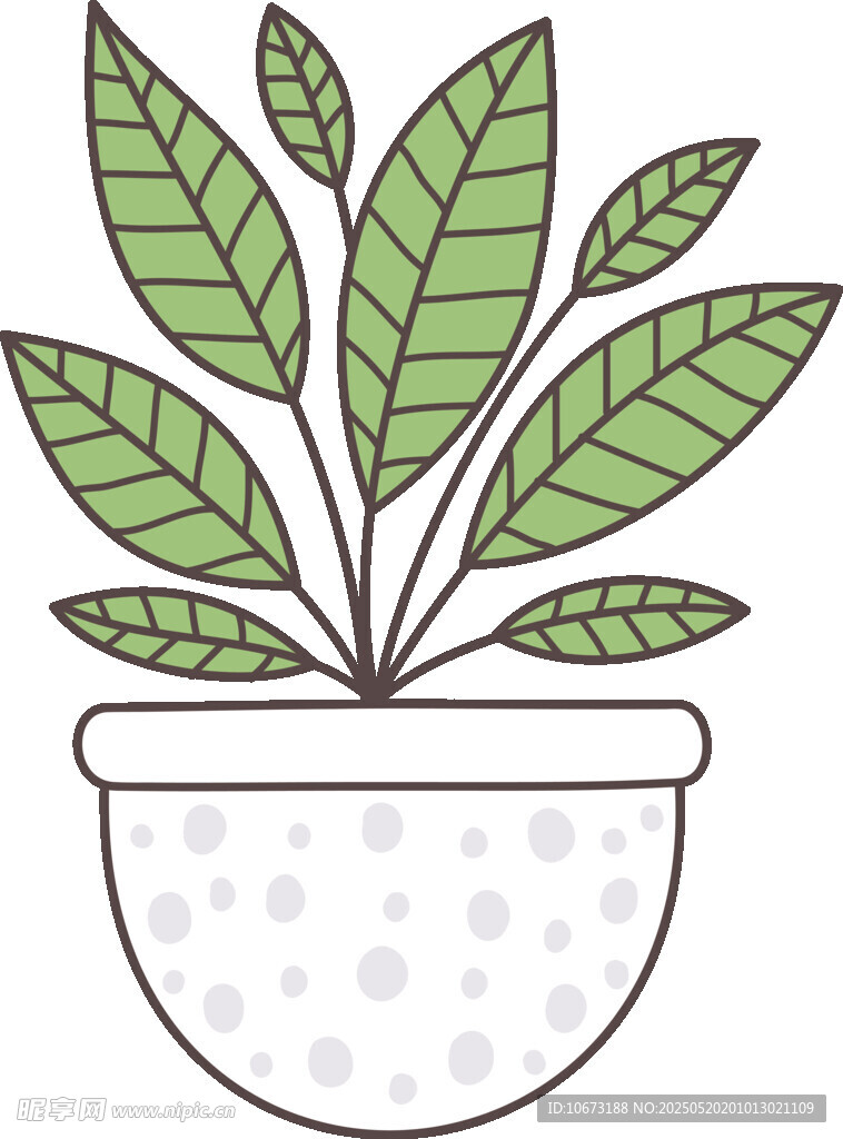 盆栽绿植插画