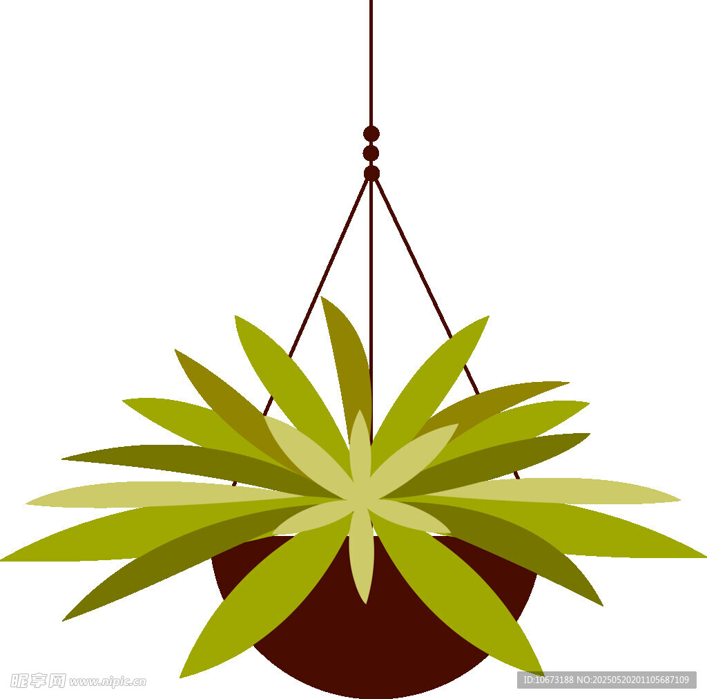 悬挂绿植盆栽