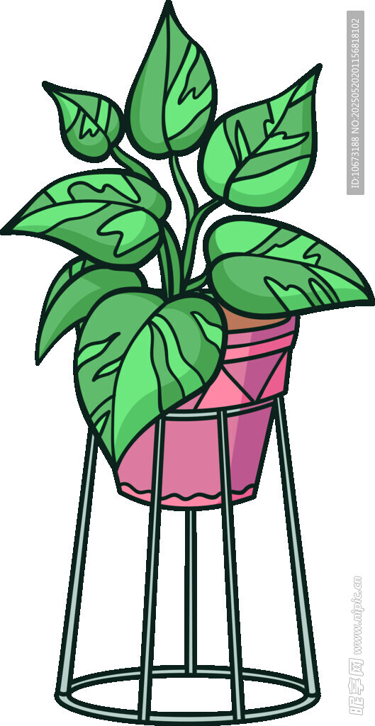 粉色花盆中的绿植盆栽