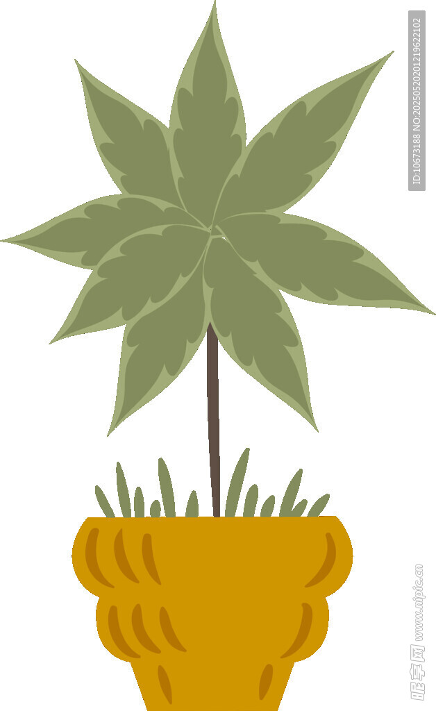 盆栽绿植插画