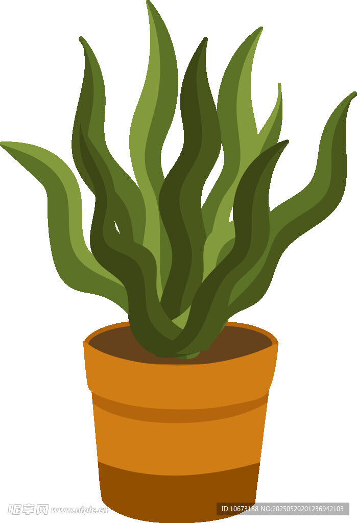 盆栽绿植插画