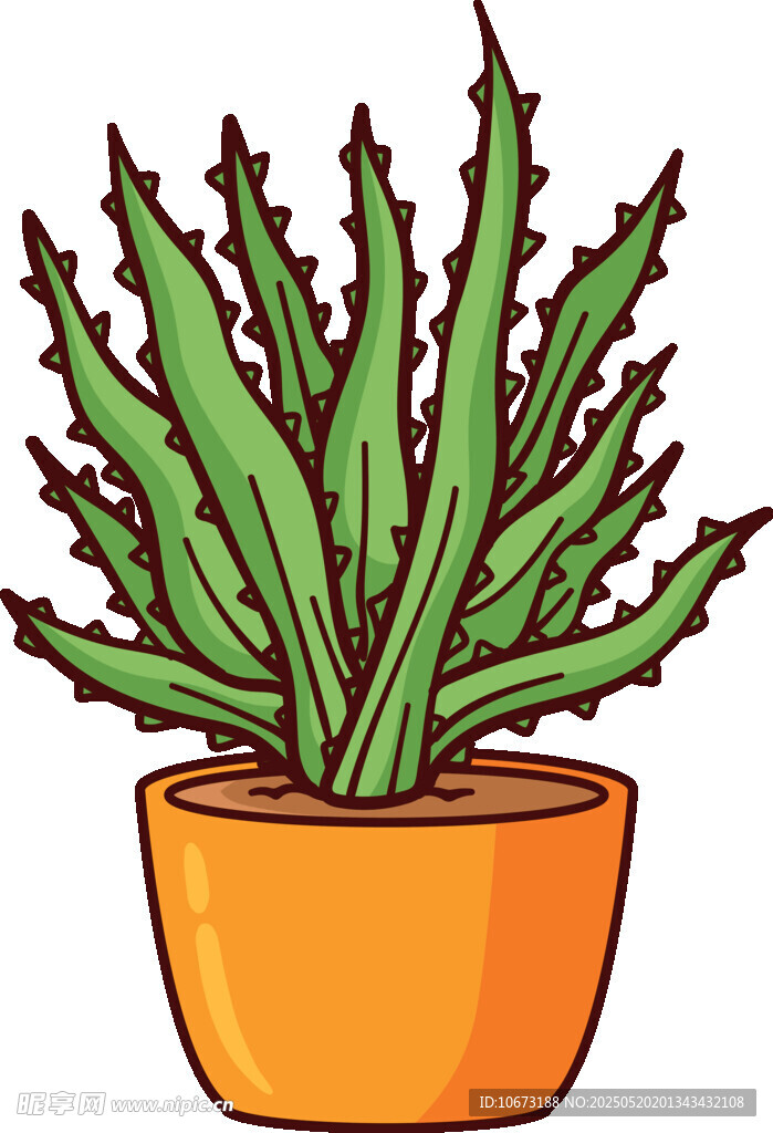 盆栽芦荟插画