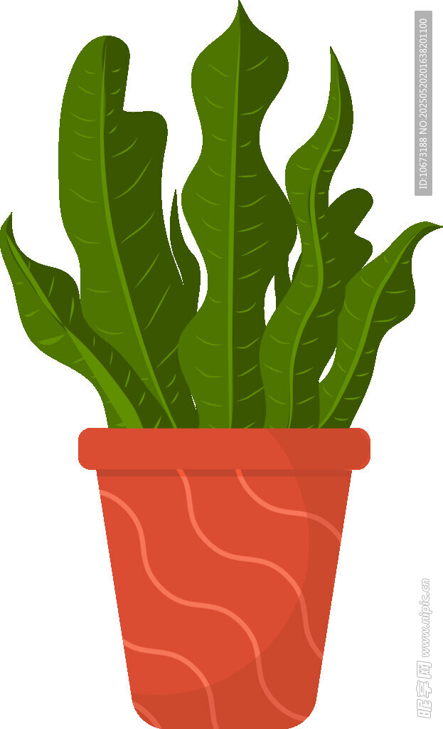 红色花盆中的绿色植物