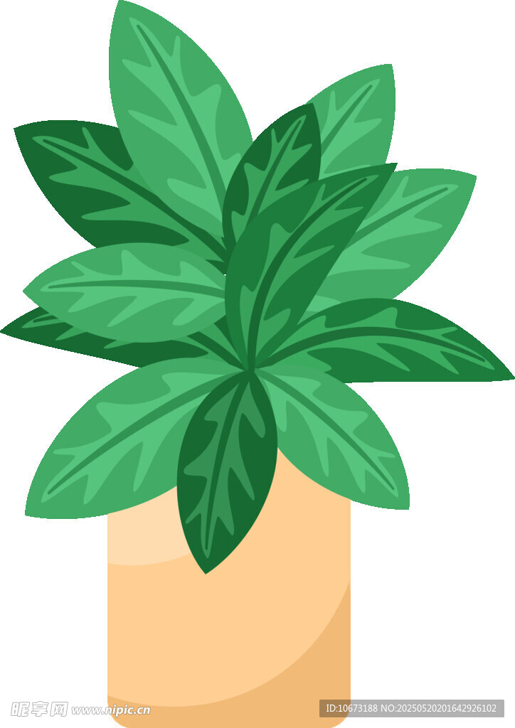 盆栽绿植插画