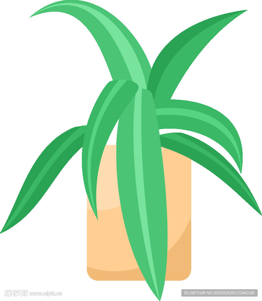 盆栽绿植插画