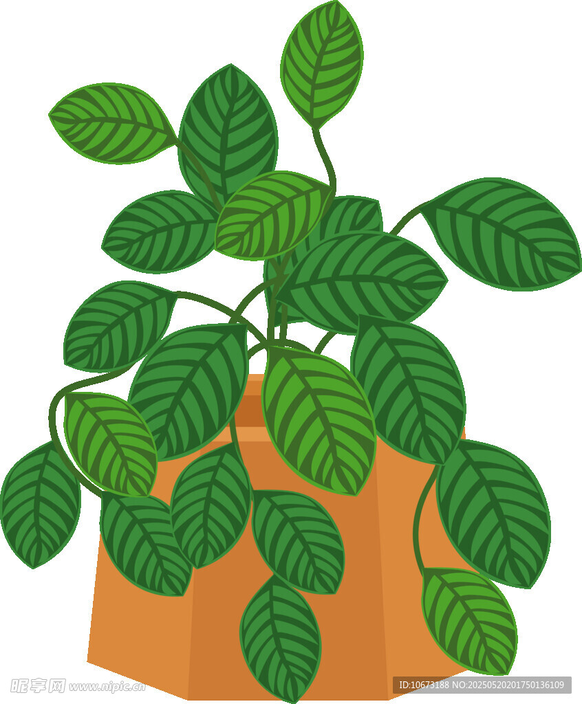 盆栽绿植插画