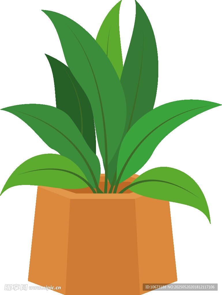 盆栽绿植插画