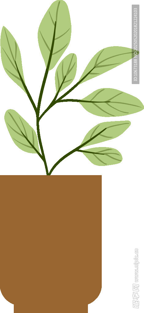 盆栽绿植插画