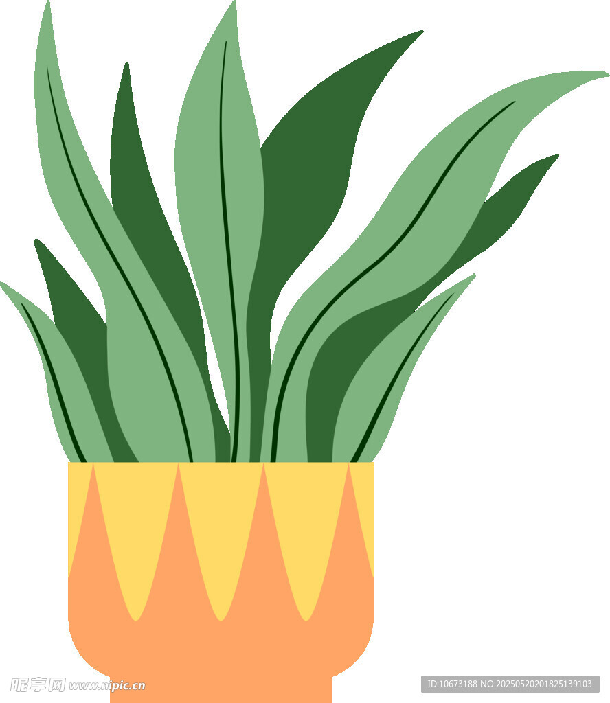 盆栽绿植插画