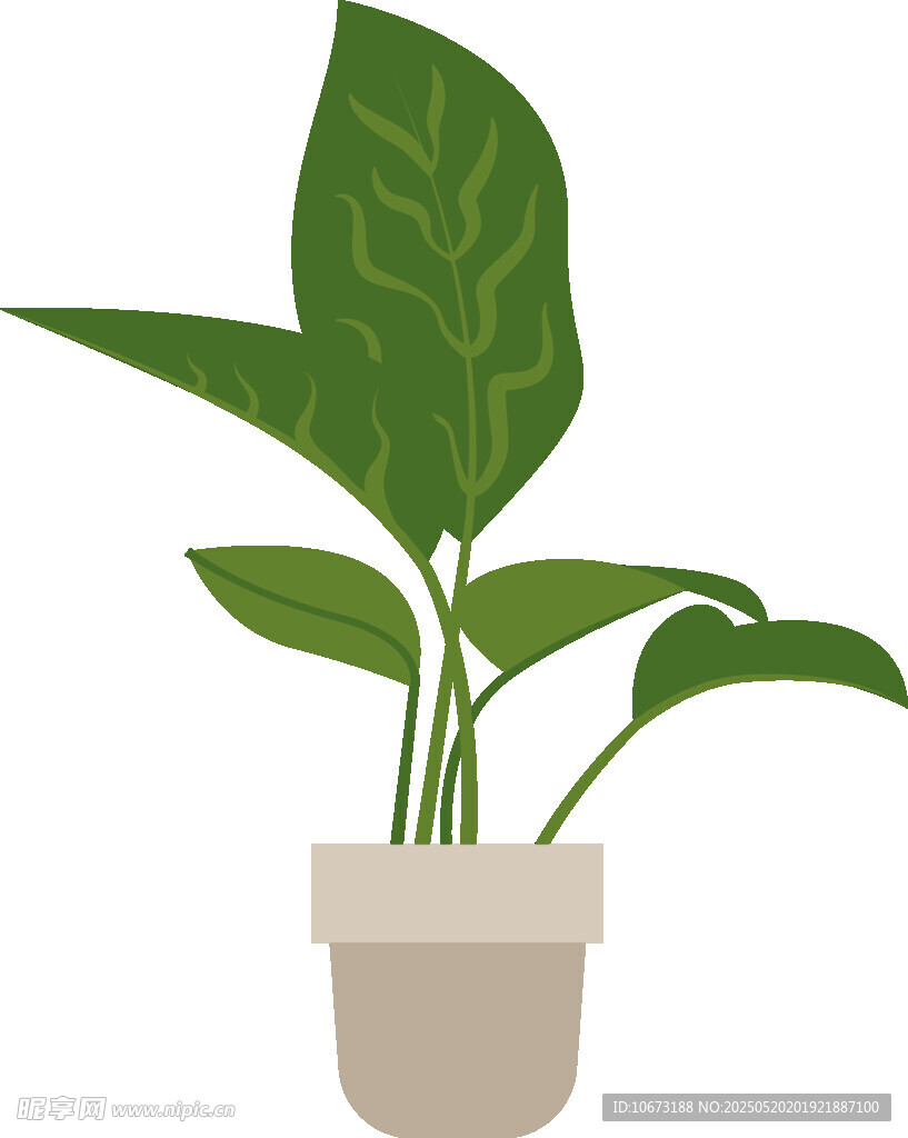 盆栽绿植插画