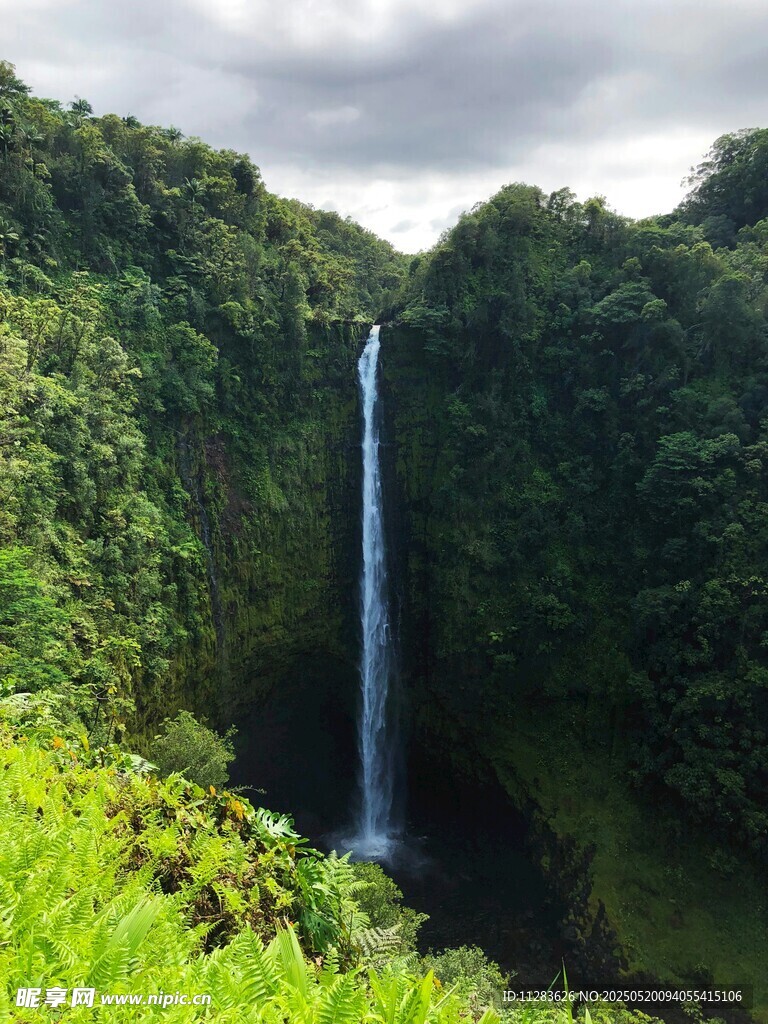 壮观雨林瀑布景观