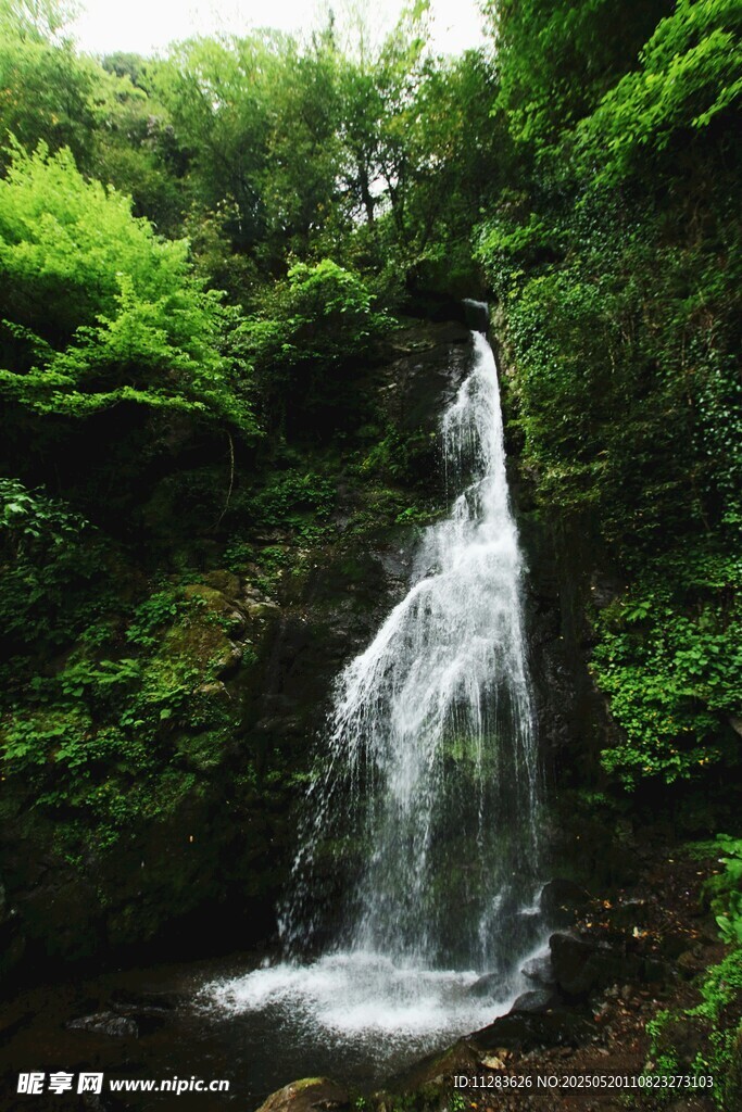 山间瀑布 绿意环绕的美景
