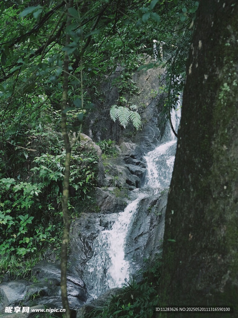 山间瀑布溪流绿意盎然