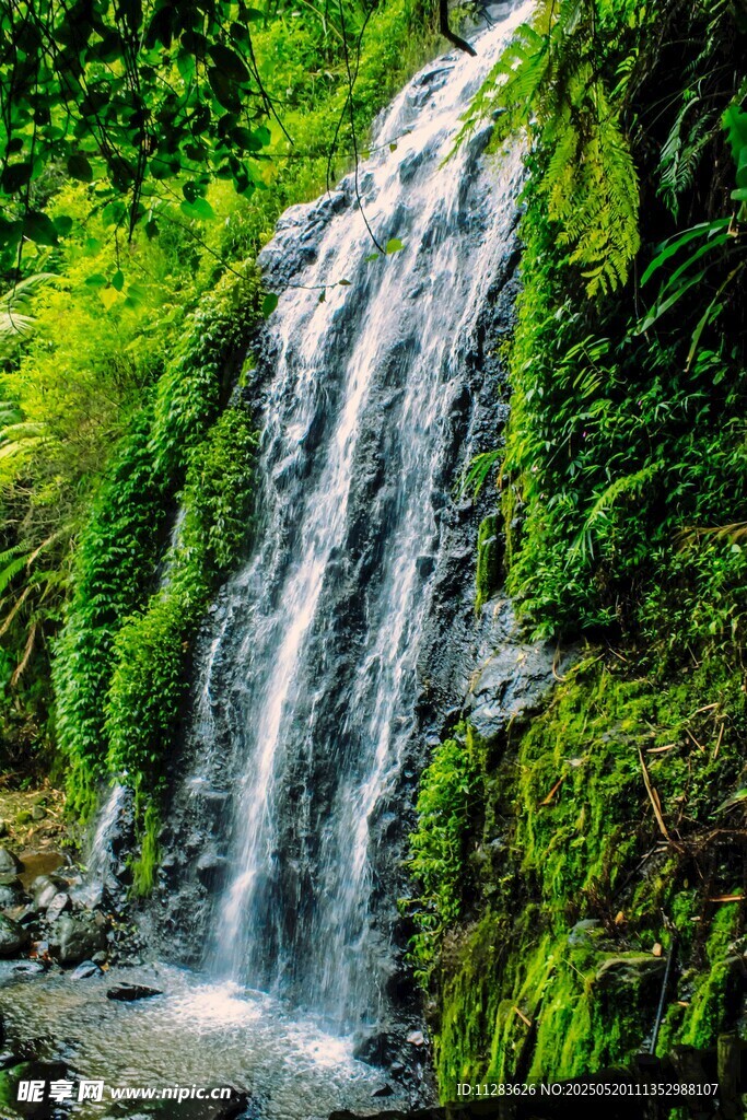 山间翠绿瀑布美景