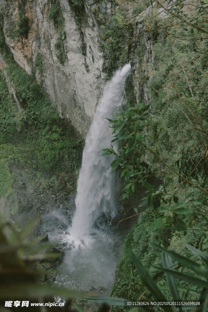 山间瀑布绿植环绕美景