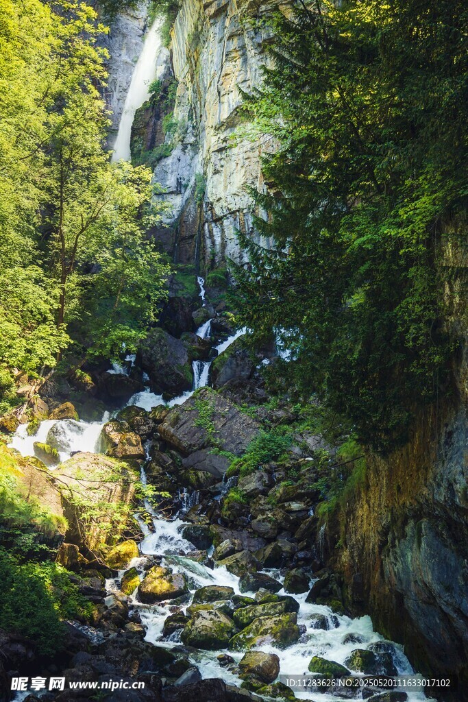 山间溪流穿林而过
