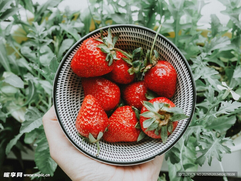 手捧新鲜草莓满满治愈感