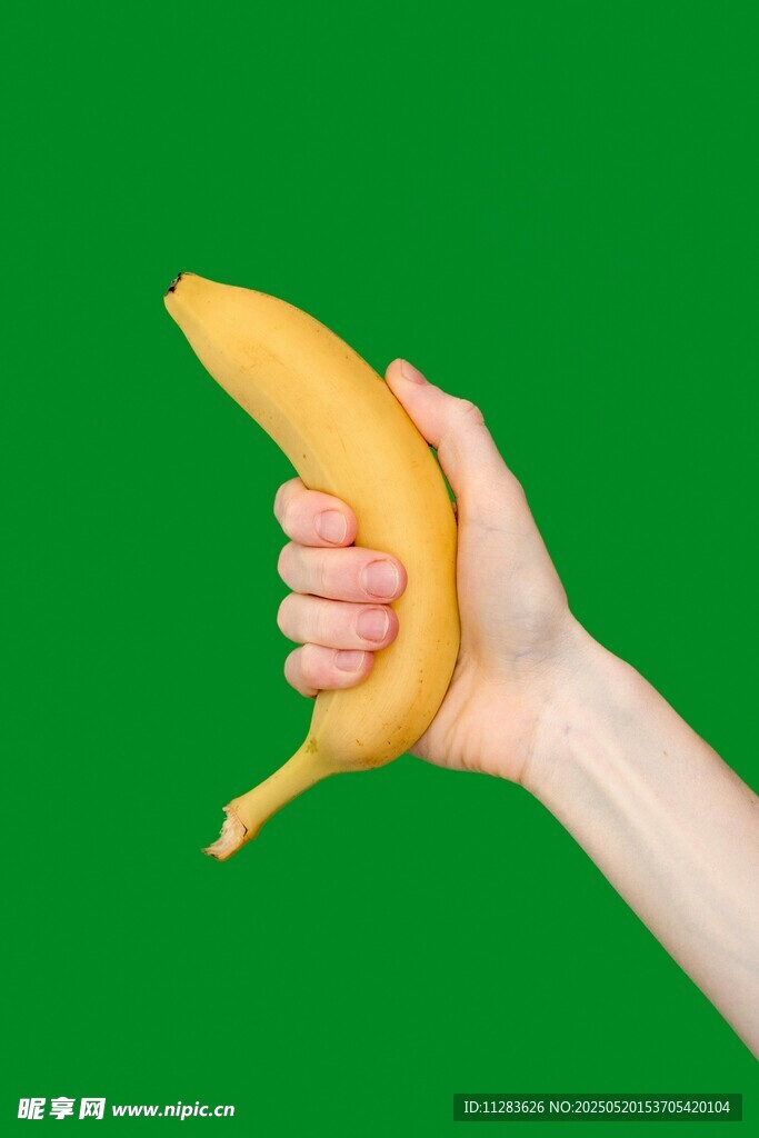 手握鲜黄香蕉