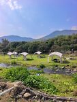 山间草地中的露营帐篷