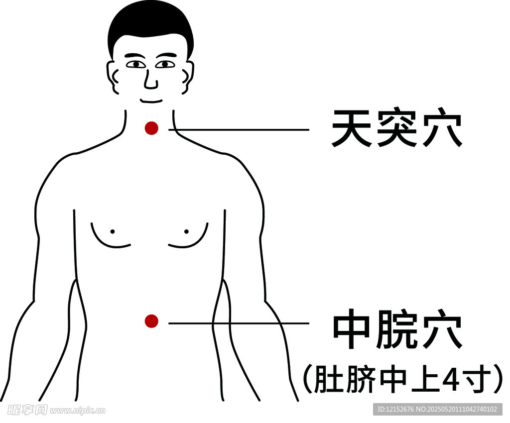 天突穴