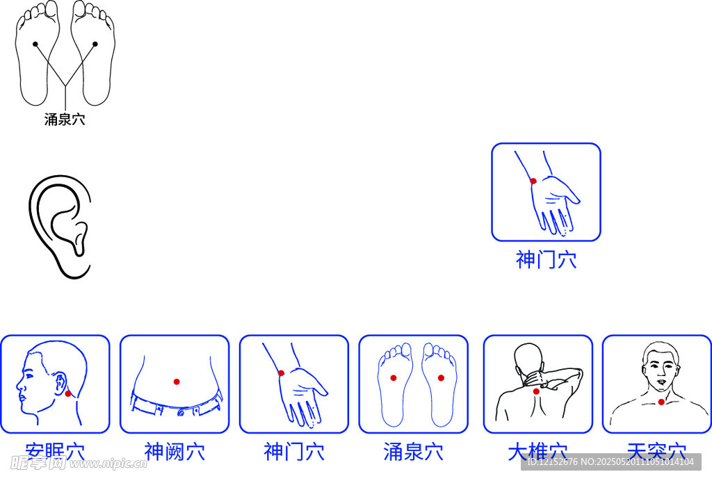 穴位图