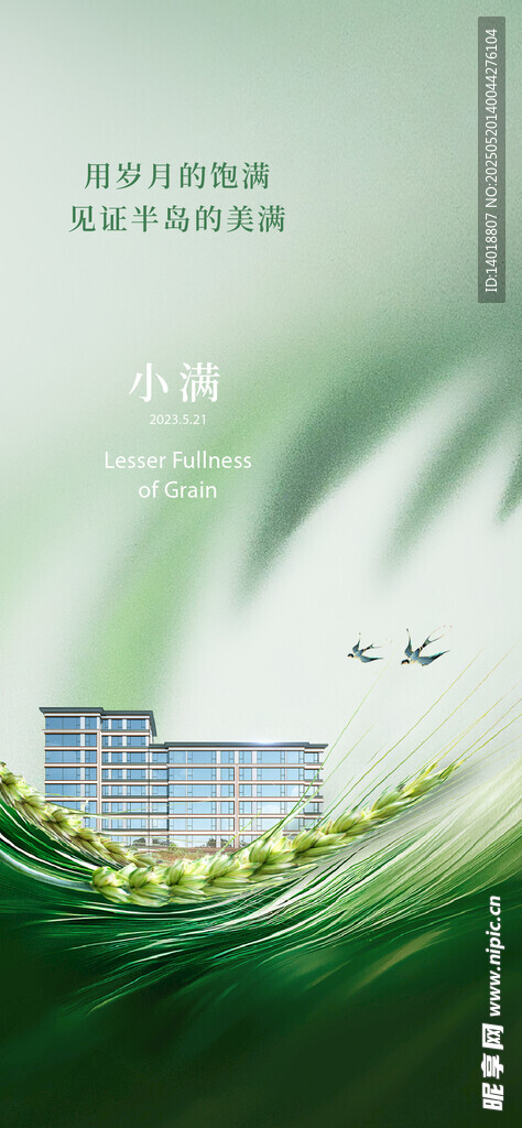 小满节气海报