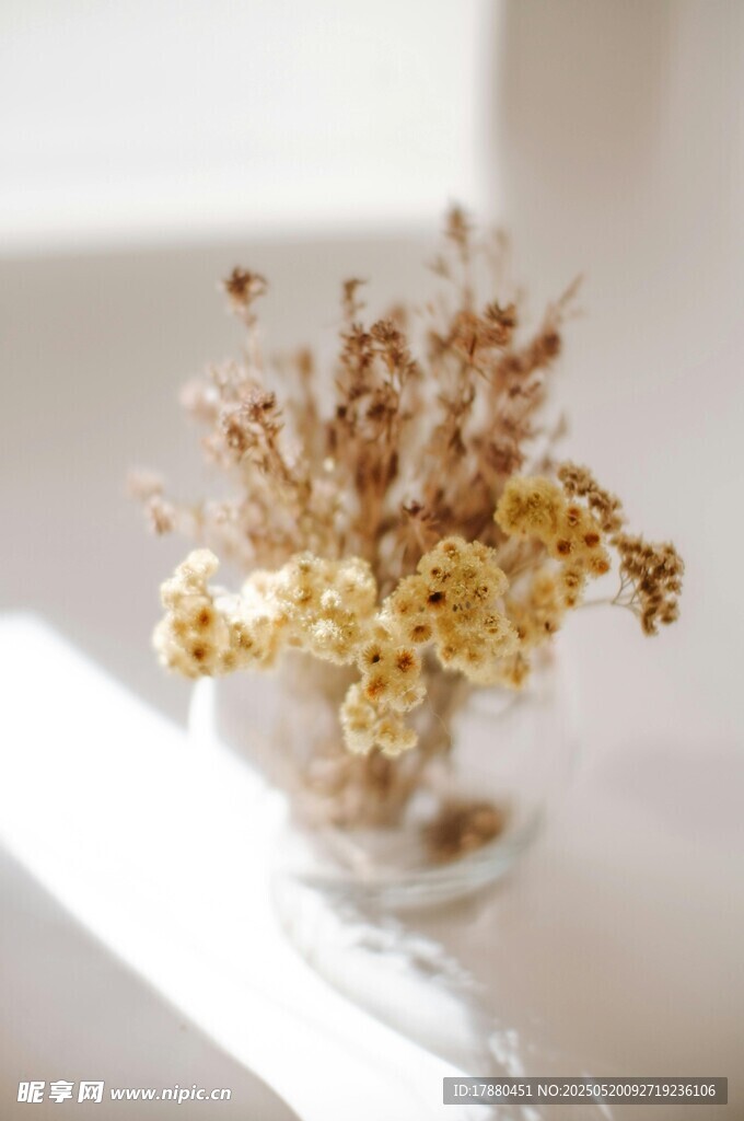 干花