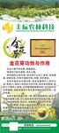 金花葵的功效展架