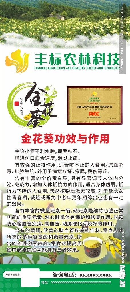 金花葵的功效展架
