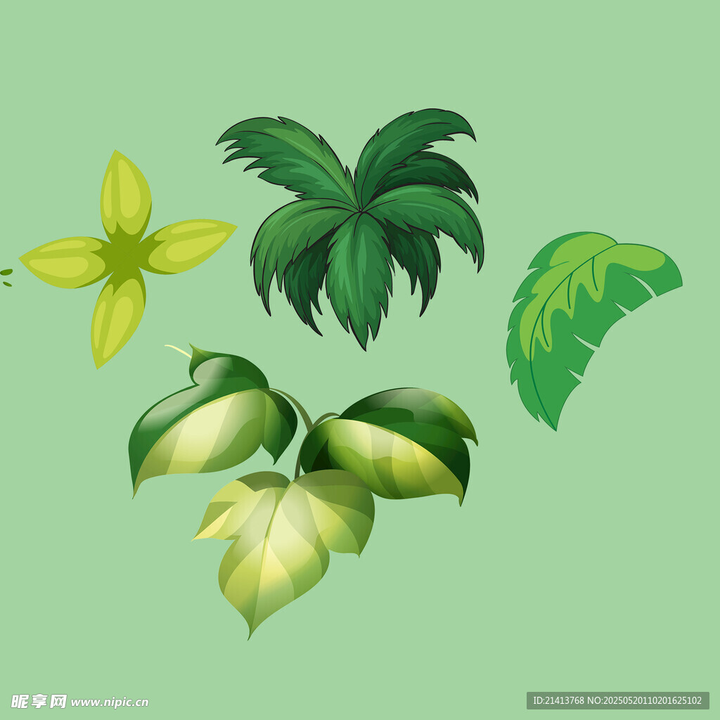 多样绿植花卉清新组合