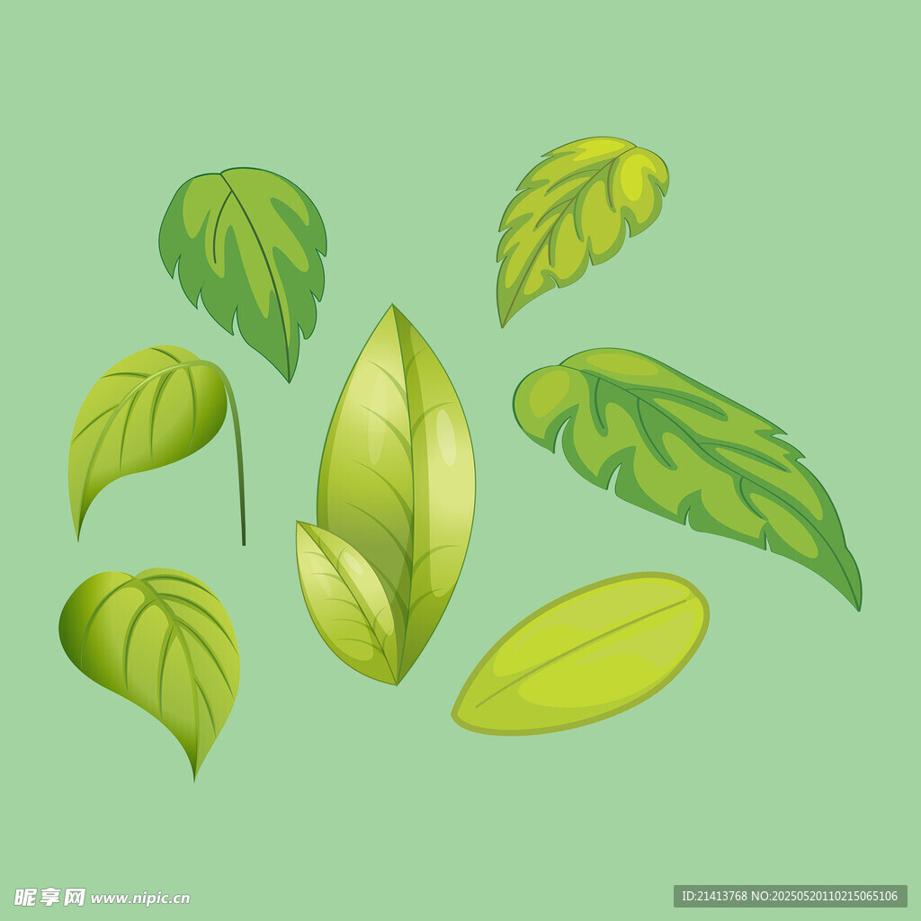 清新绿叶插画素材