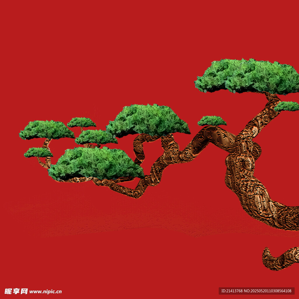 苍劲盆景树