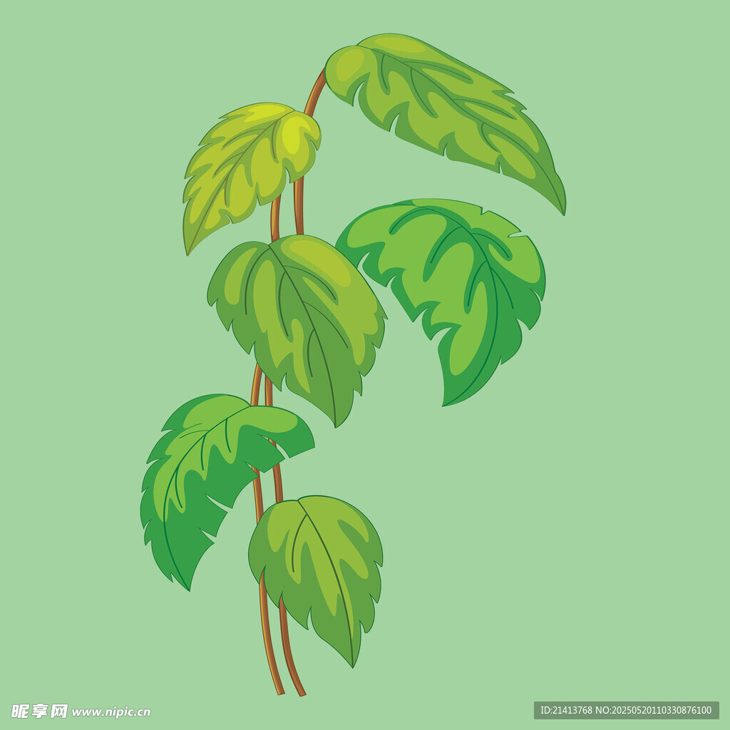 绿色植物插画