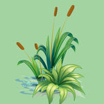 水边绿植插画