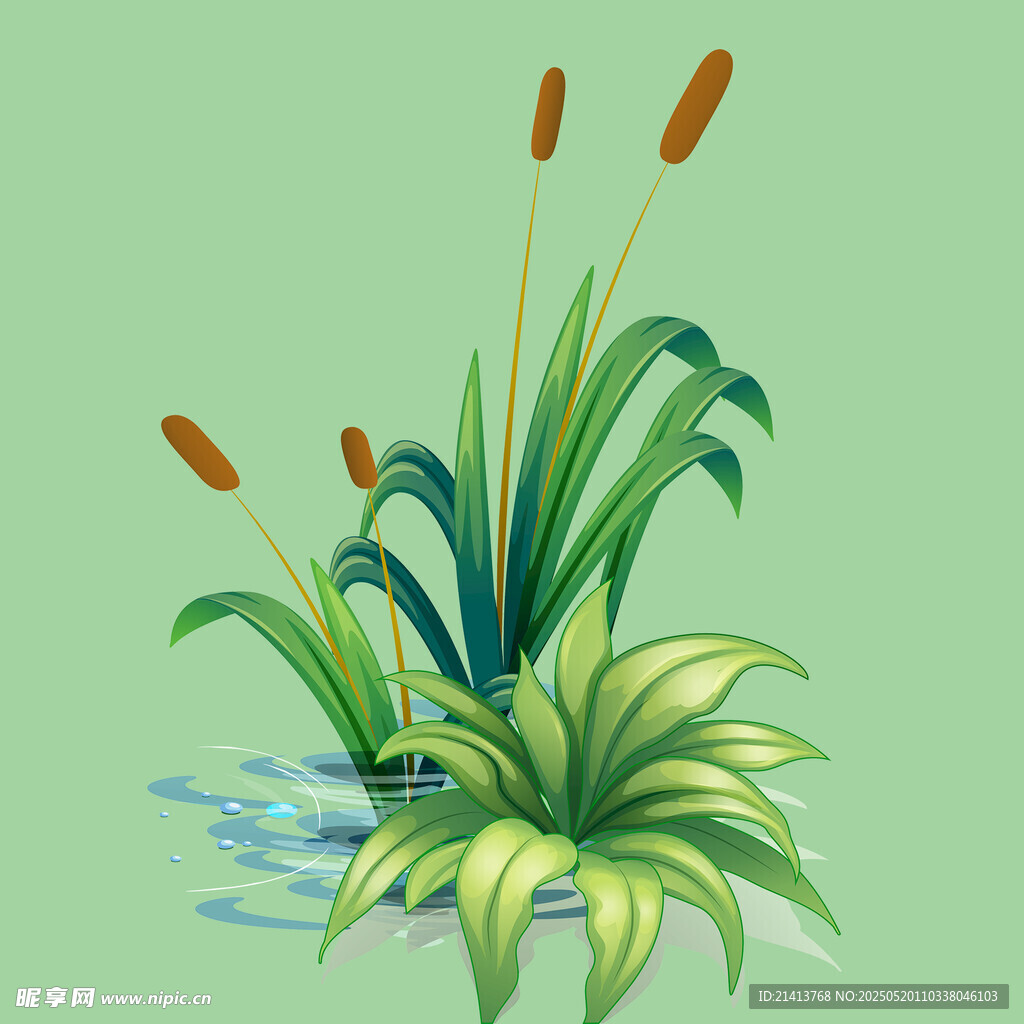 水边绿植插画