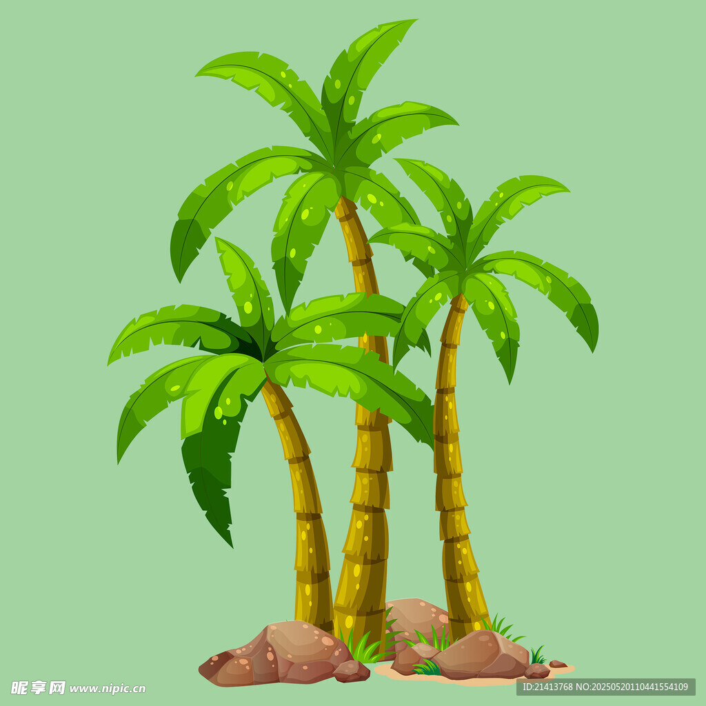 棕榈树插画