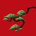 盆景艺术造型