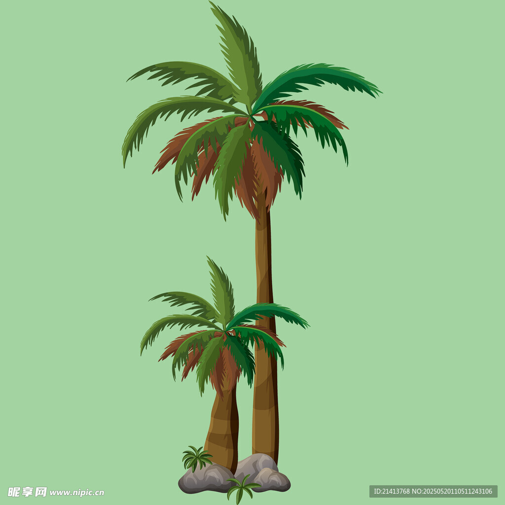 棕榈树