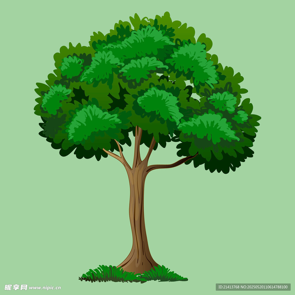 绿色大树插画