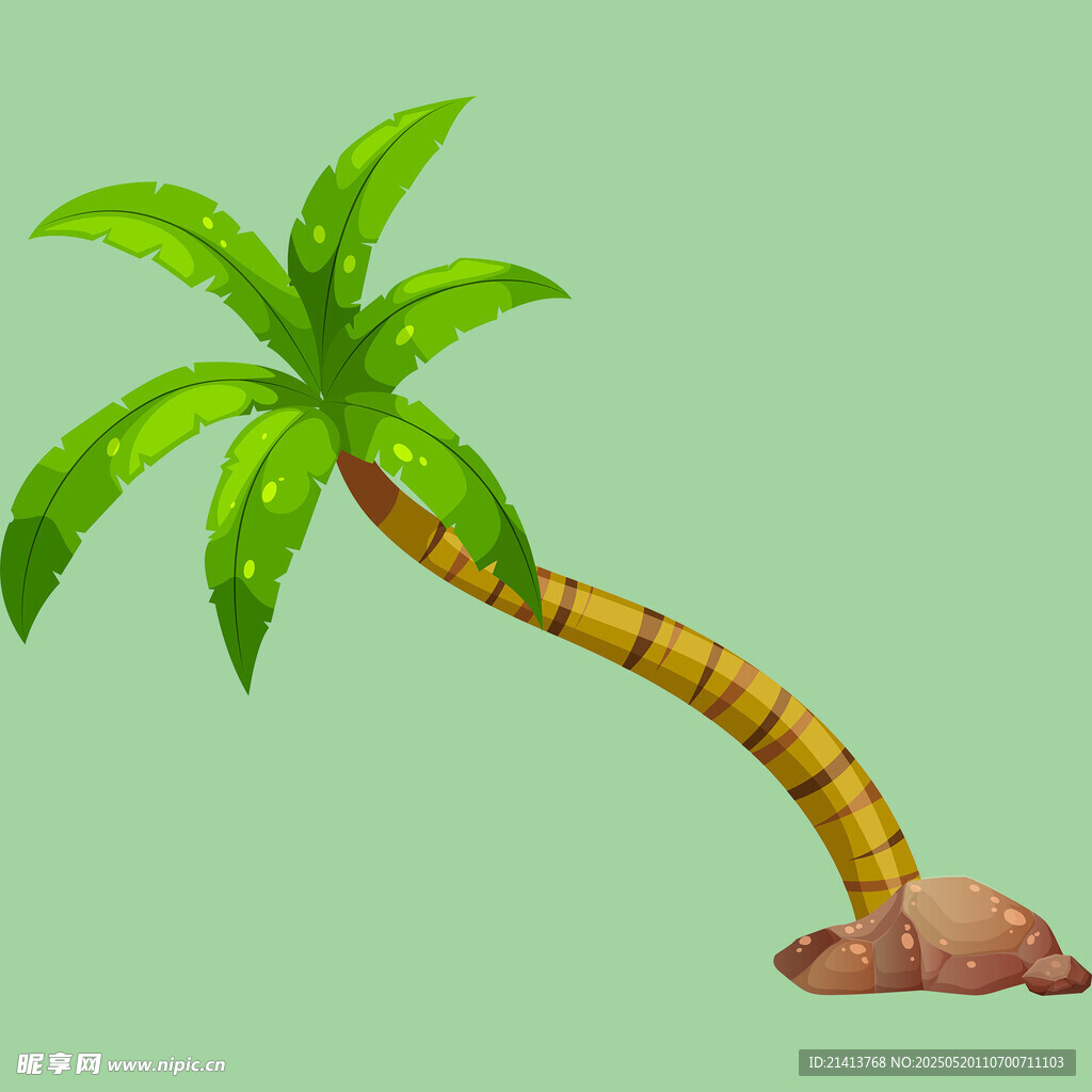 热带棕榈树