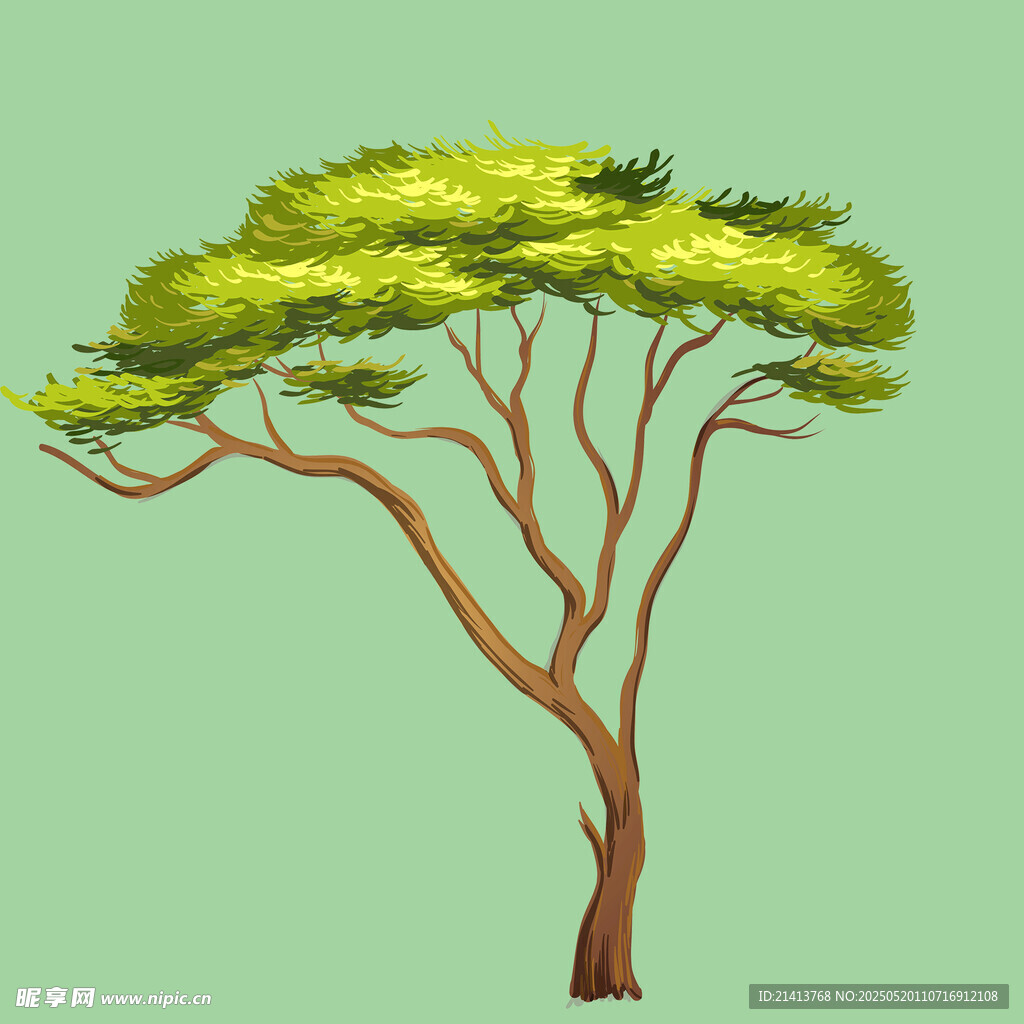 绿色大树插画