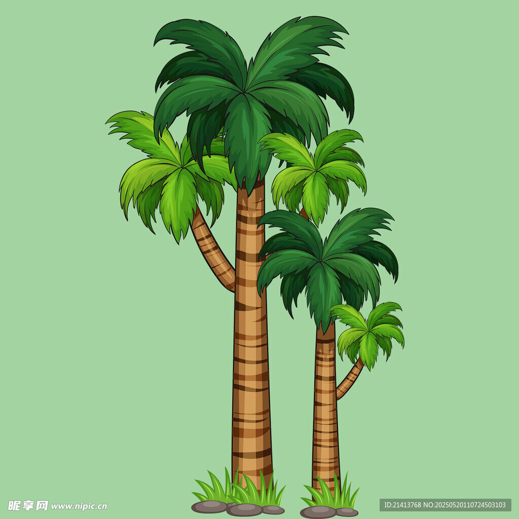 棕榈树插画