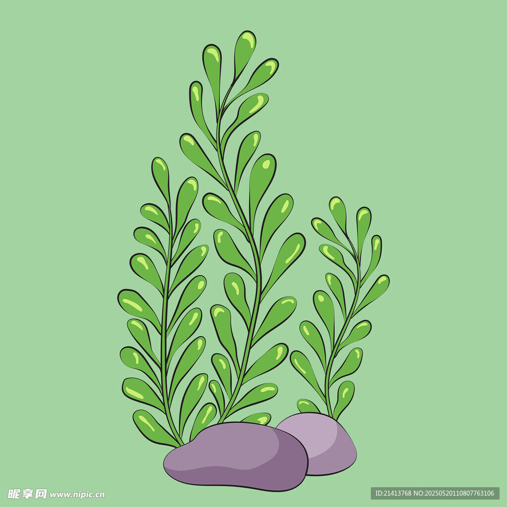 水草与石头