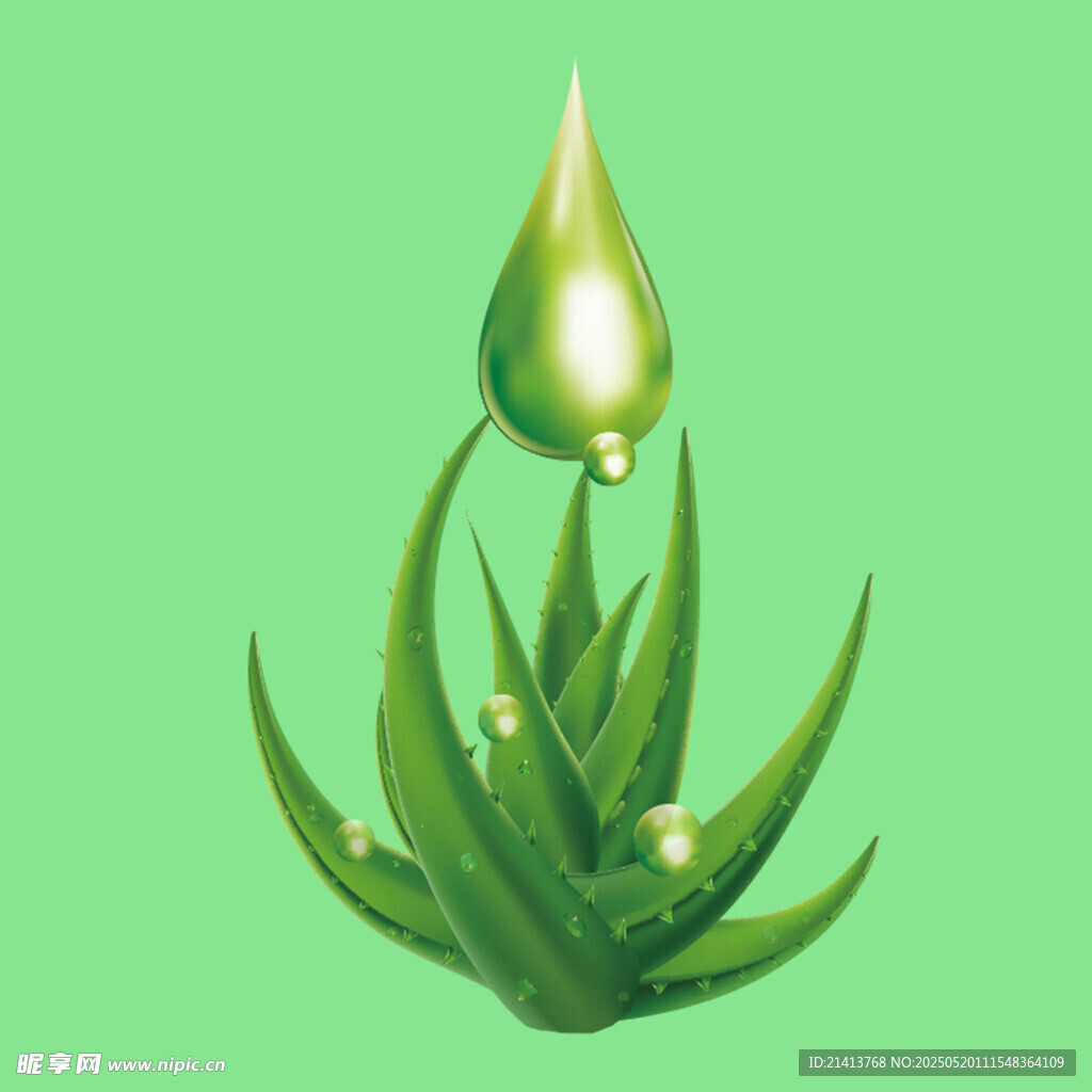 翠绿芦荟