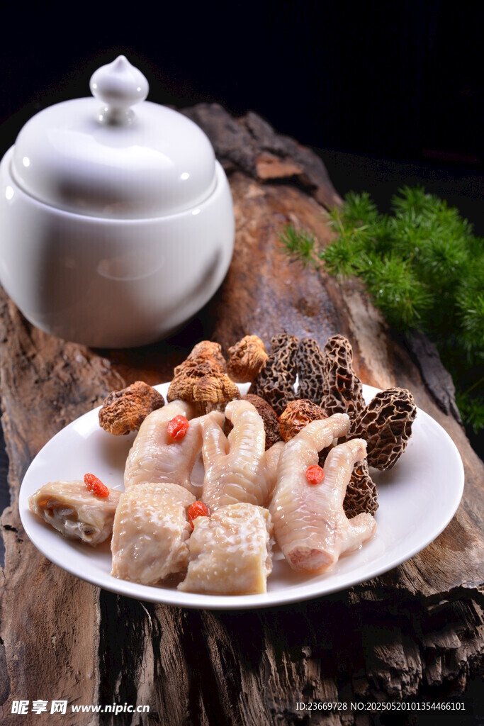 滋补炖品 食材丰富诱人