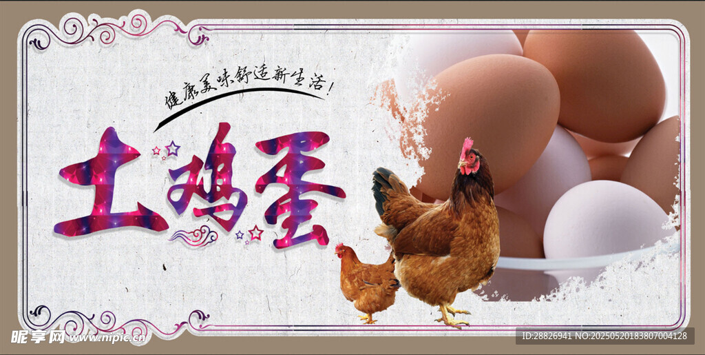 新鲜土鸡蛋 母鸡相伴