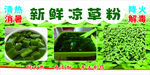 新鲜清热凉草粉食材展示